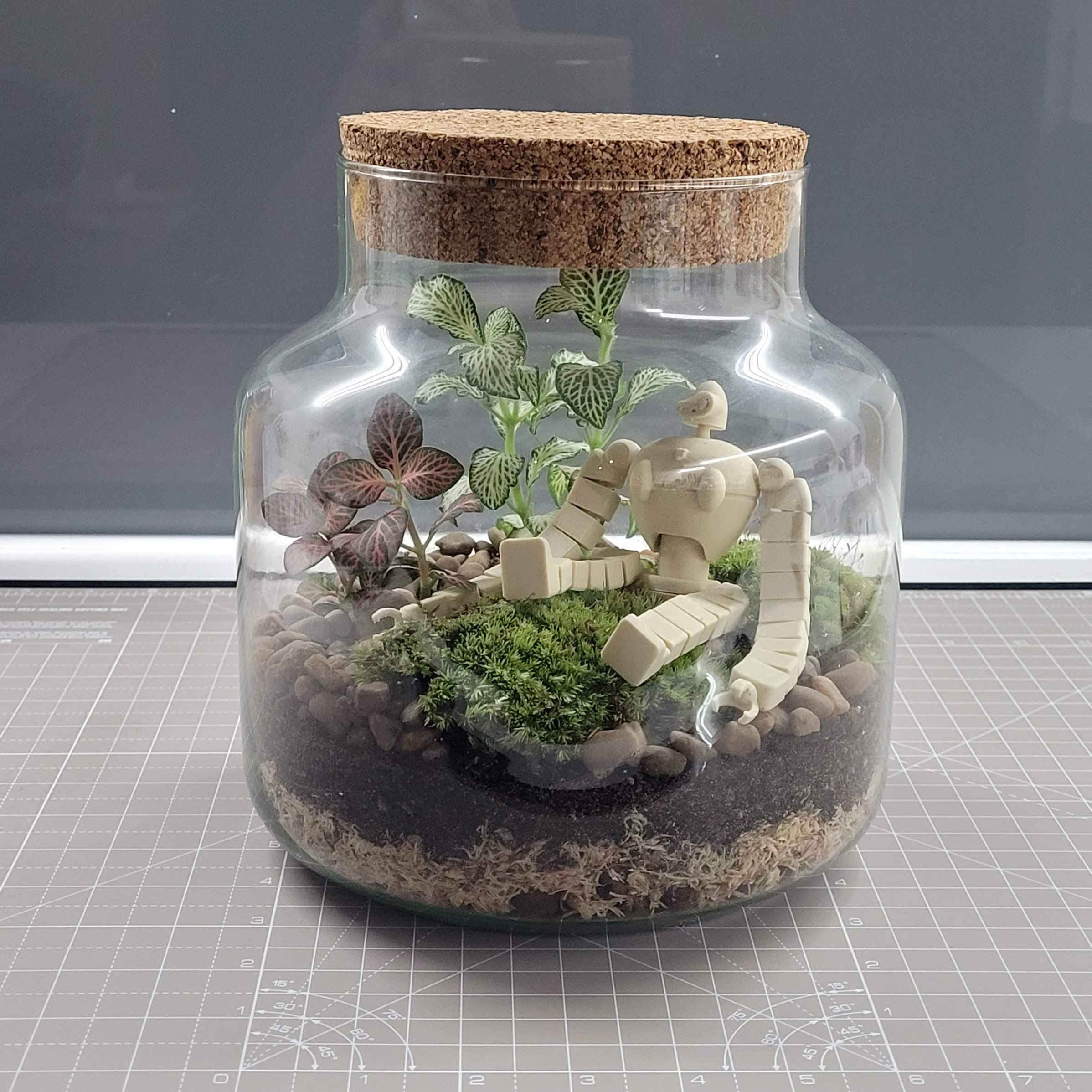The robot sitting inside the terrarium